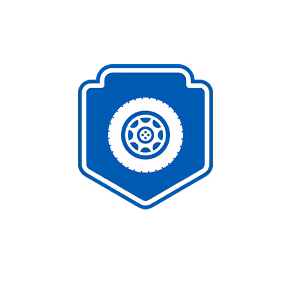 visual inspection icon